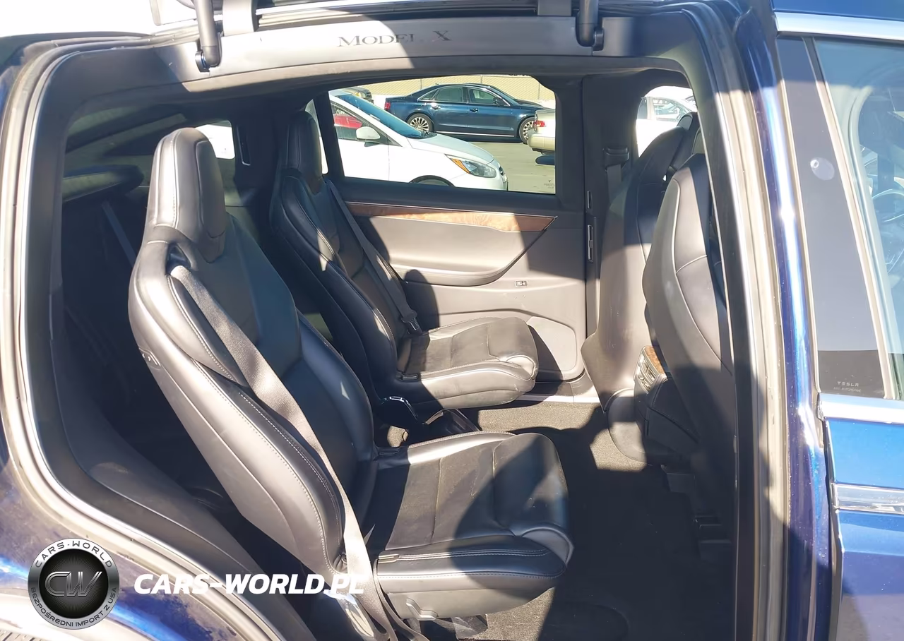 2017 Tesla Model X 100D-75D-90D VIN:5YJXCBE29HF054003 - 8