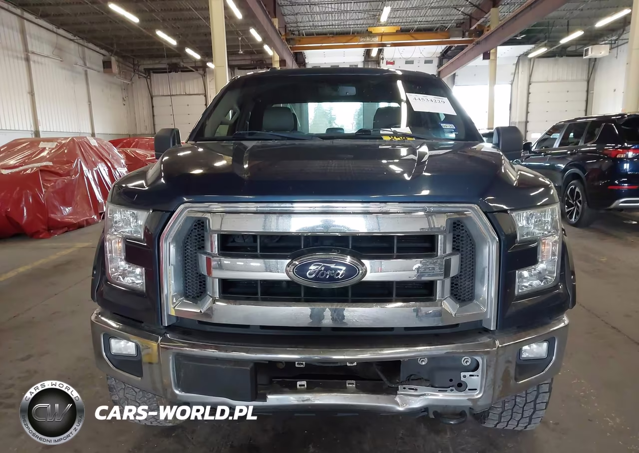 2015 Ford F-150 Xlt VIN:1FTFX1EF2FFB72559 - 13