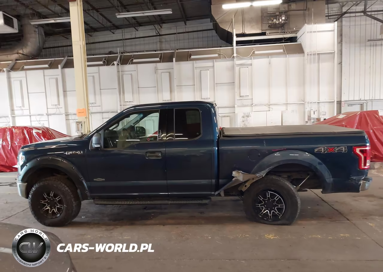 2015 Ford F-150 Xlt VIN:1FTFX1EF2FFB72559 - 15