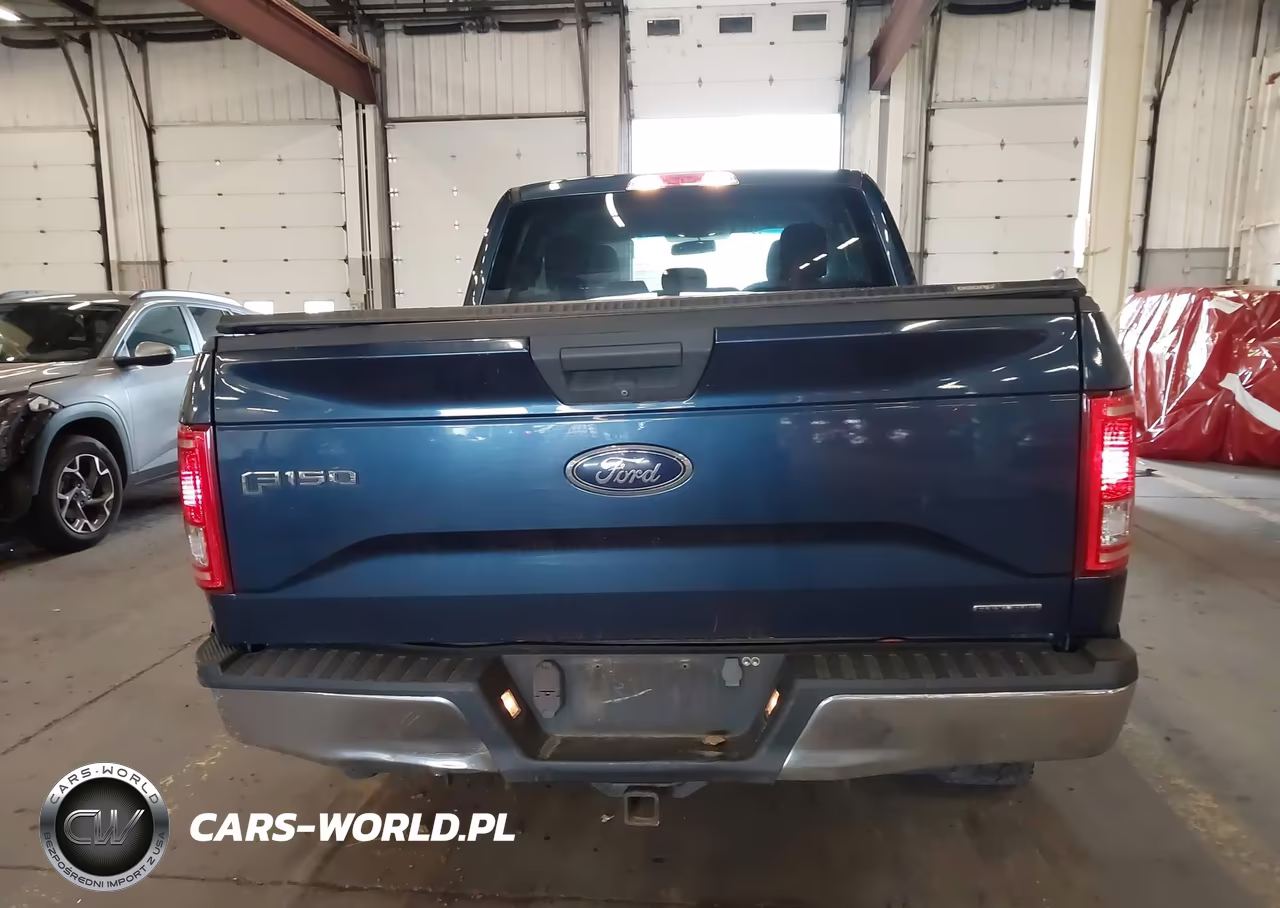 2015 Ford F-150 Xlt VIN:1FTFX1EF2FFB72559 - 17