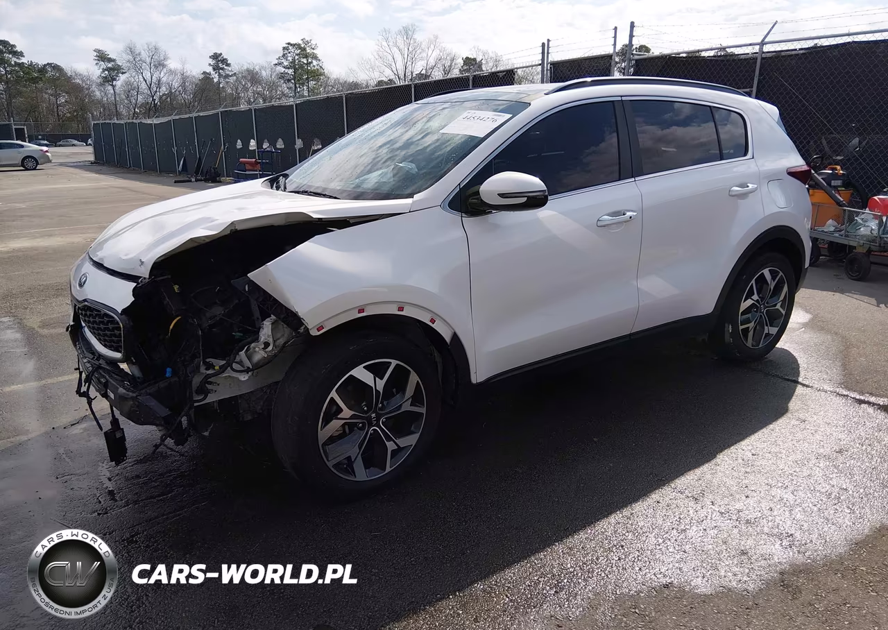 2020 Kia Sportage Ex VIN:KNDPN3AC6L7781466 - 2