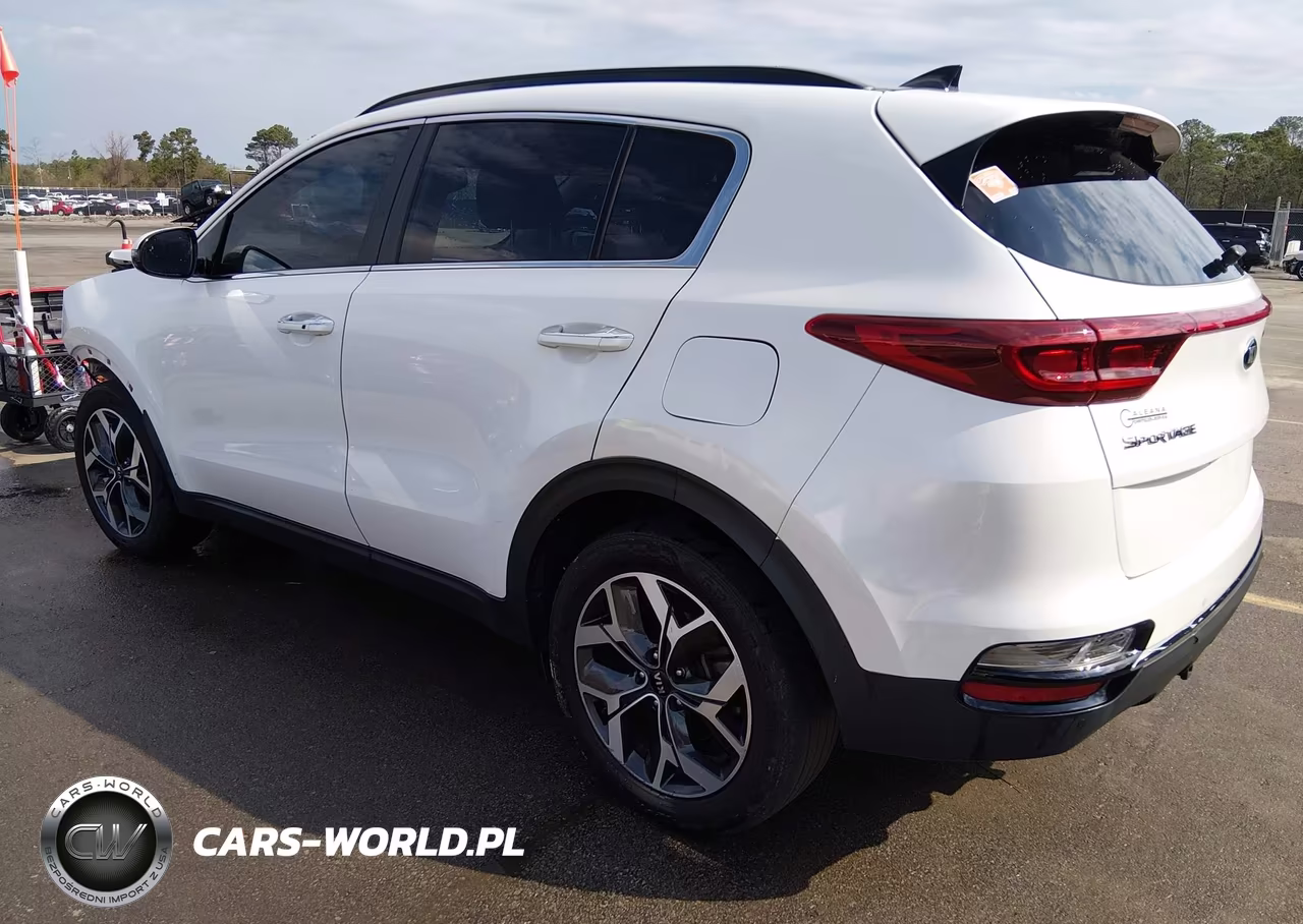 2020 Kia Sportage Ex VIN:KNDPN3AC6L7781466 - 3