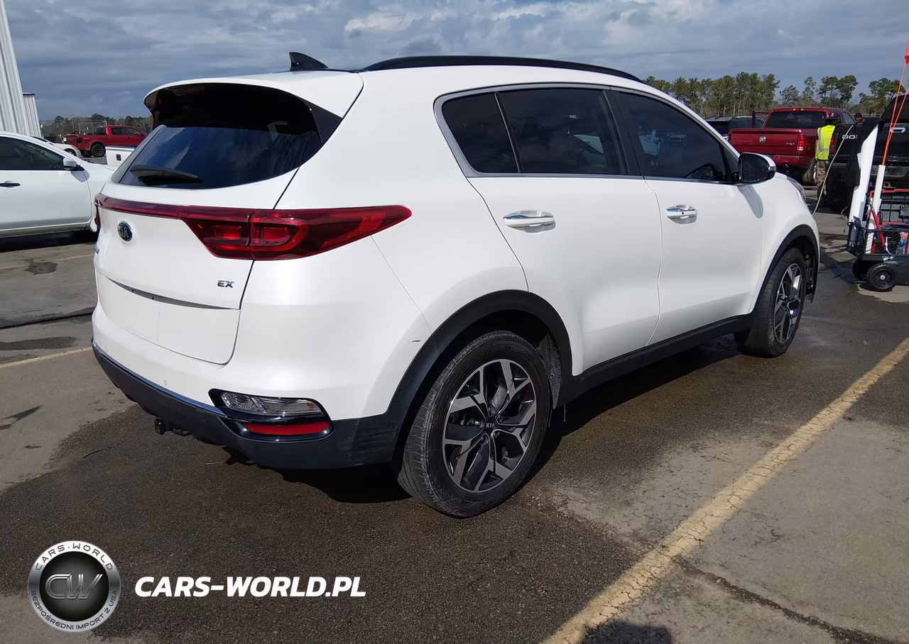 2020 Kia Sportage Ex VIN:KNDPN3AC6L7781466 - 4