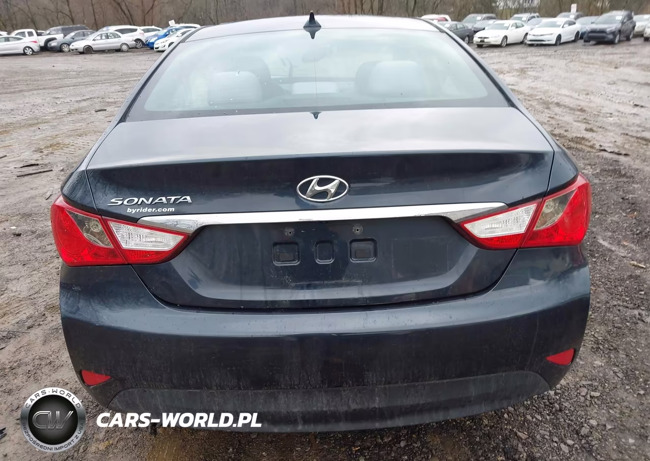 2014 Hyundai Sonata Gls VIN:5NPEB4AC3EH943607 - 16