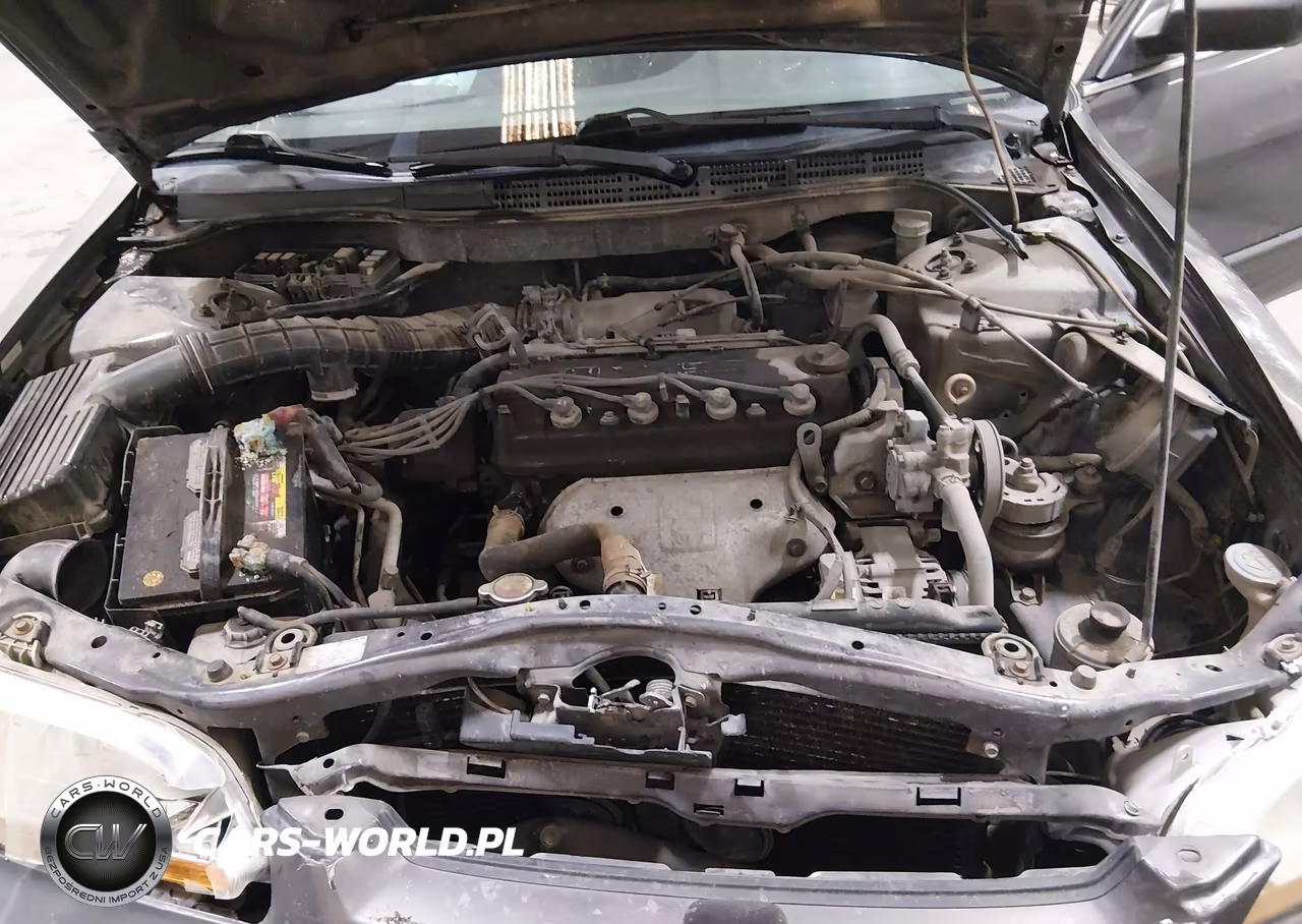 1998 Honda Accord Lx VIN:1HGCG5542WA261894 - 10
