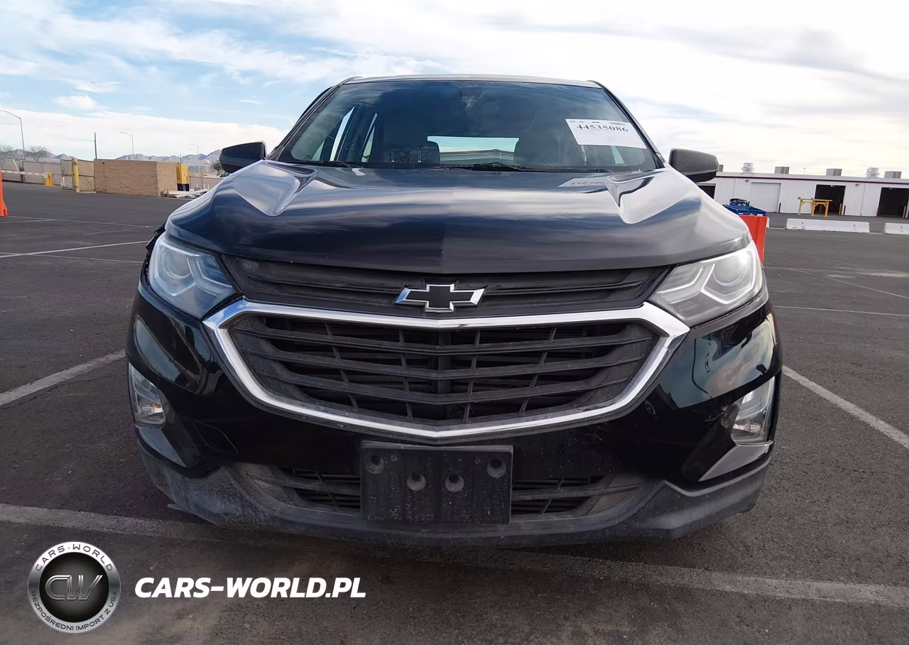 2019 Chevrolet Equinox Ls VIN:3GNAXHEV8KL198780 - 11