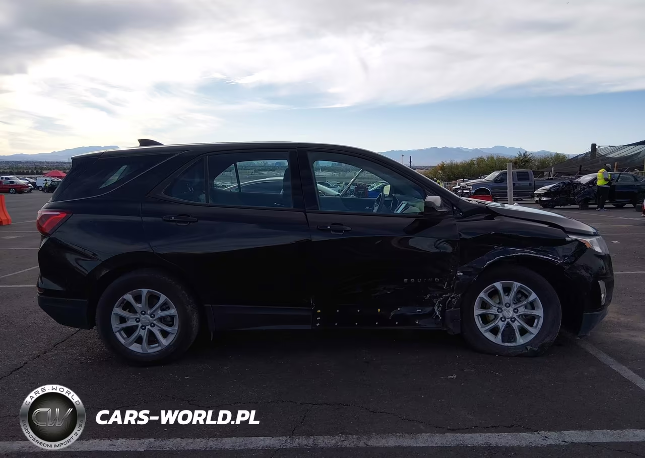 2019 Chevrolet Equinox Ls VIN:3GNAXHEV8KL198780 - 12