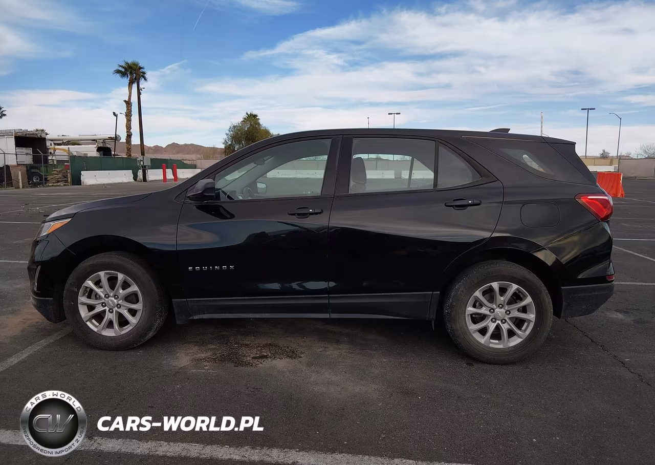 2019 Chevrolet Equinox Ls VIN:3GNAXHEV8KL198780 - 13