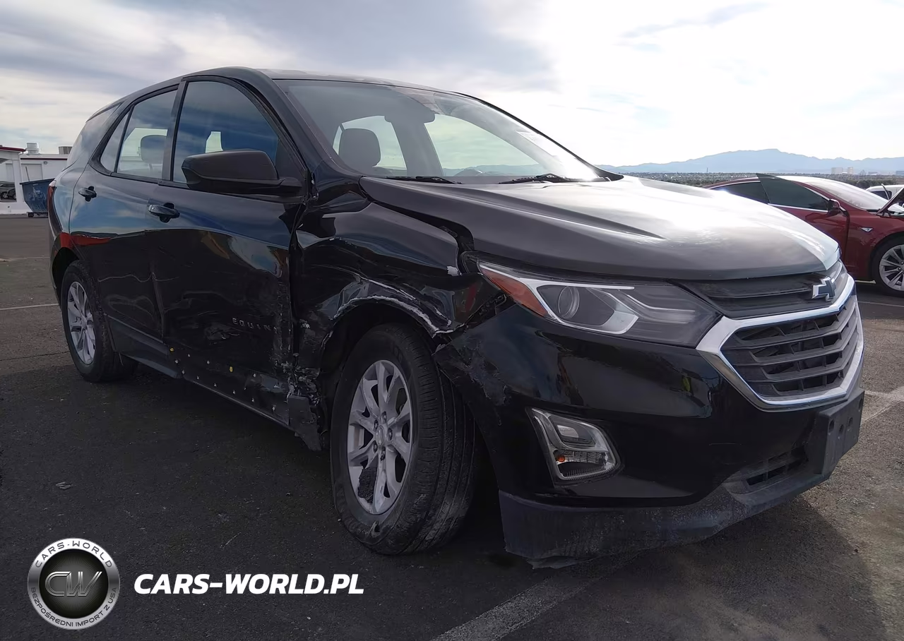 2019 Chevrolet Equinox Ls VIN:3GNAXHEV8KL198780 - 6
