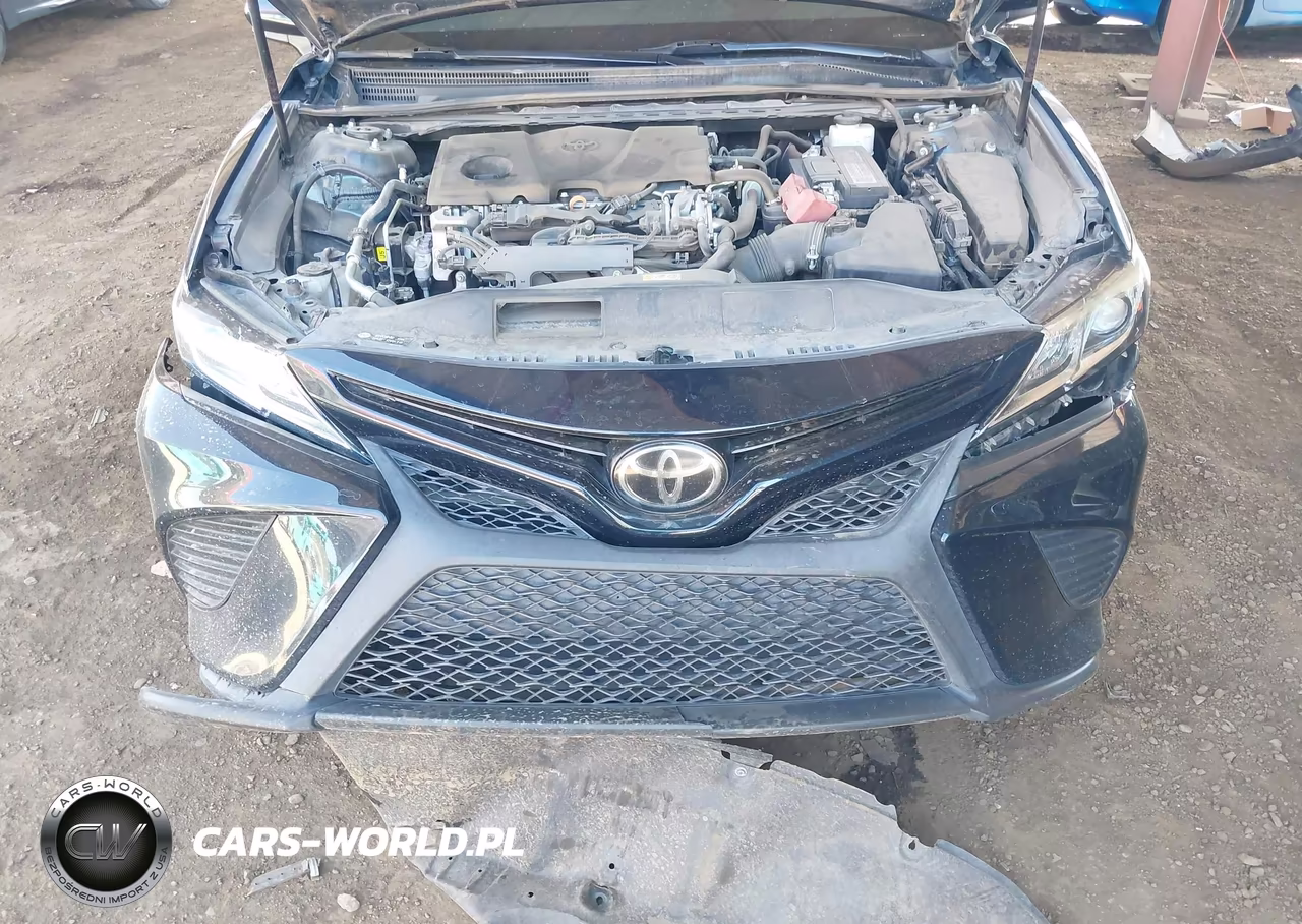 2019 Toyota Camry Se VIN:4T1B11HK1KU257998 - 10