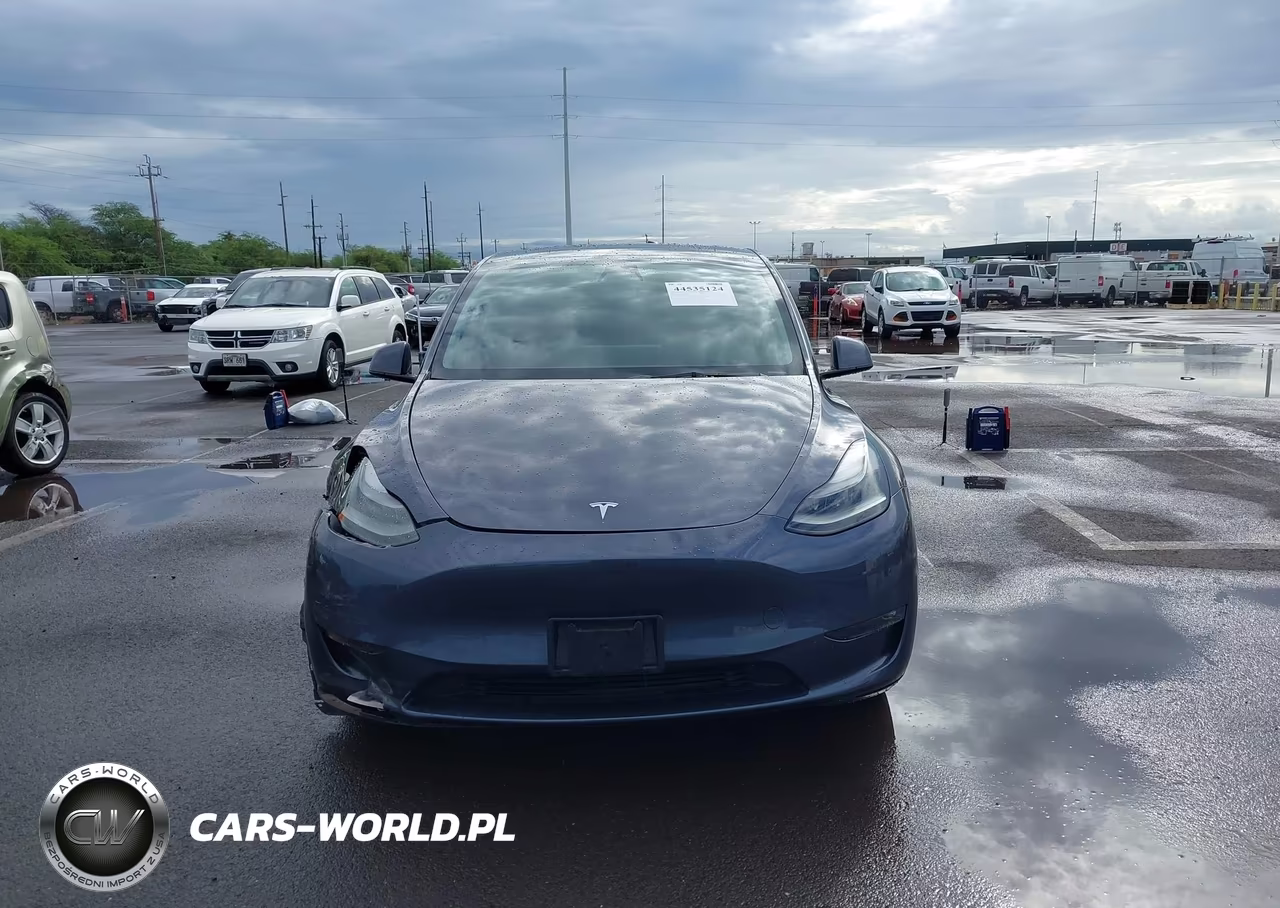 2023 Tesla Model Y Awd-Long Range Dual Motor All-Wheel Drive VIN:7SAYGDEE8PF638442 - 12
