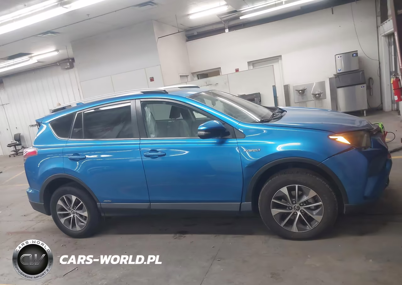 2016 Toyota Rav4 Hybrid Xle VIN:JTMRJREV0GD038246 - 13