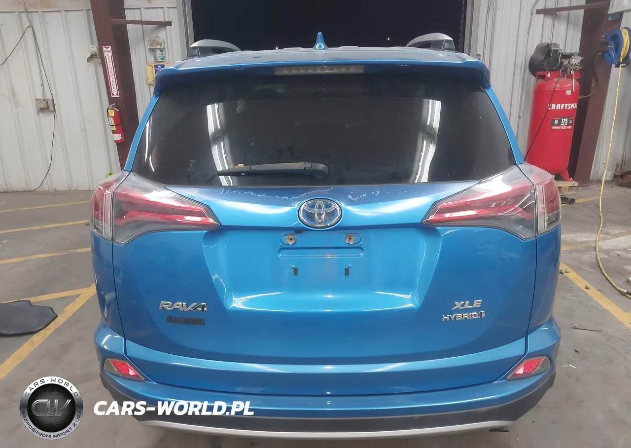 2016 Toyota Rav4 Hybrid Xle VIN:JTMRJREV0GD038246 - 16