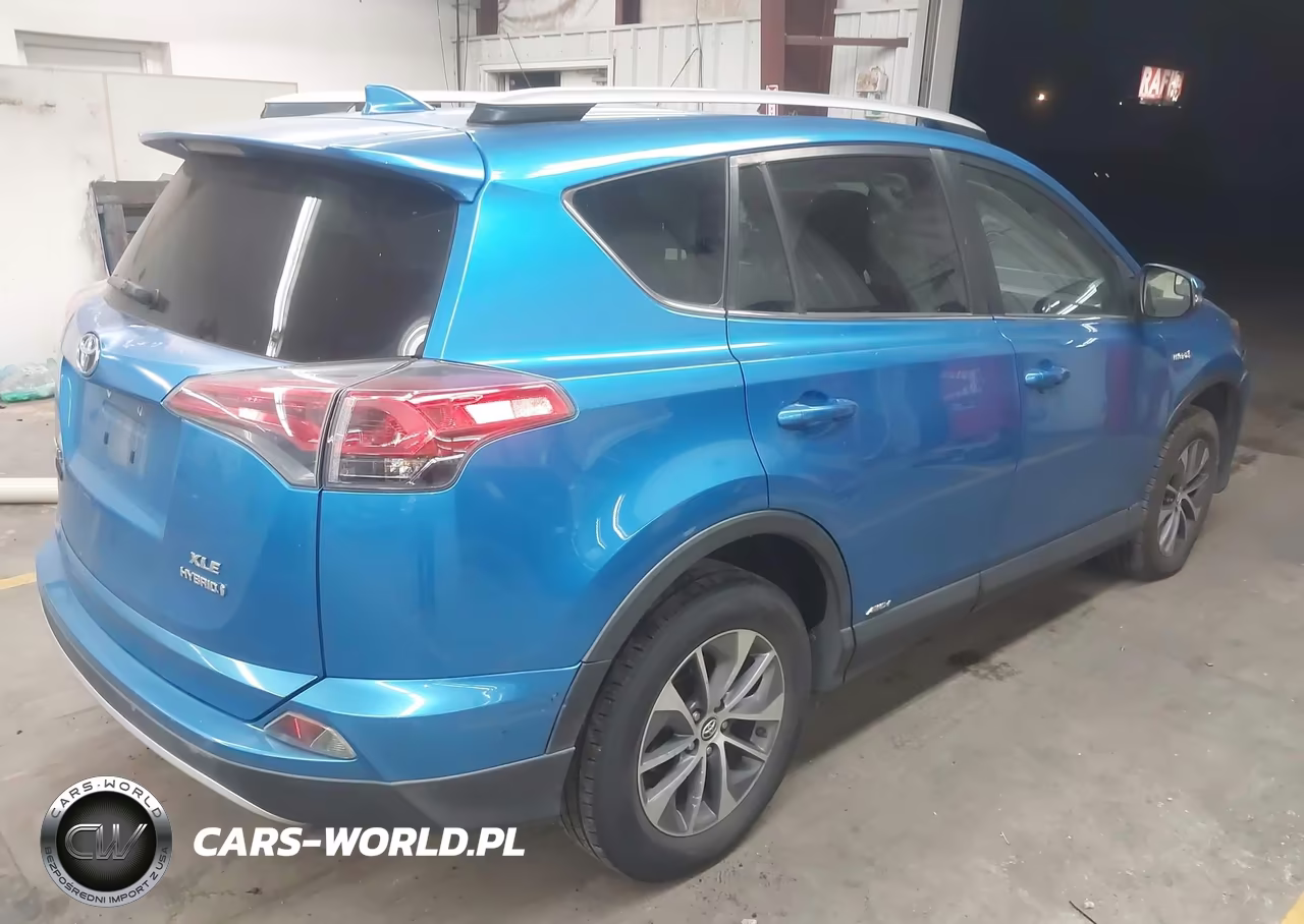 2016 Toyota Rav4 Hybrid Xle VIN:JTMRJREV0GD038246 - 4