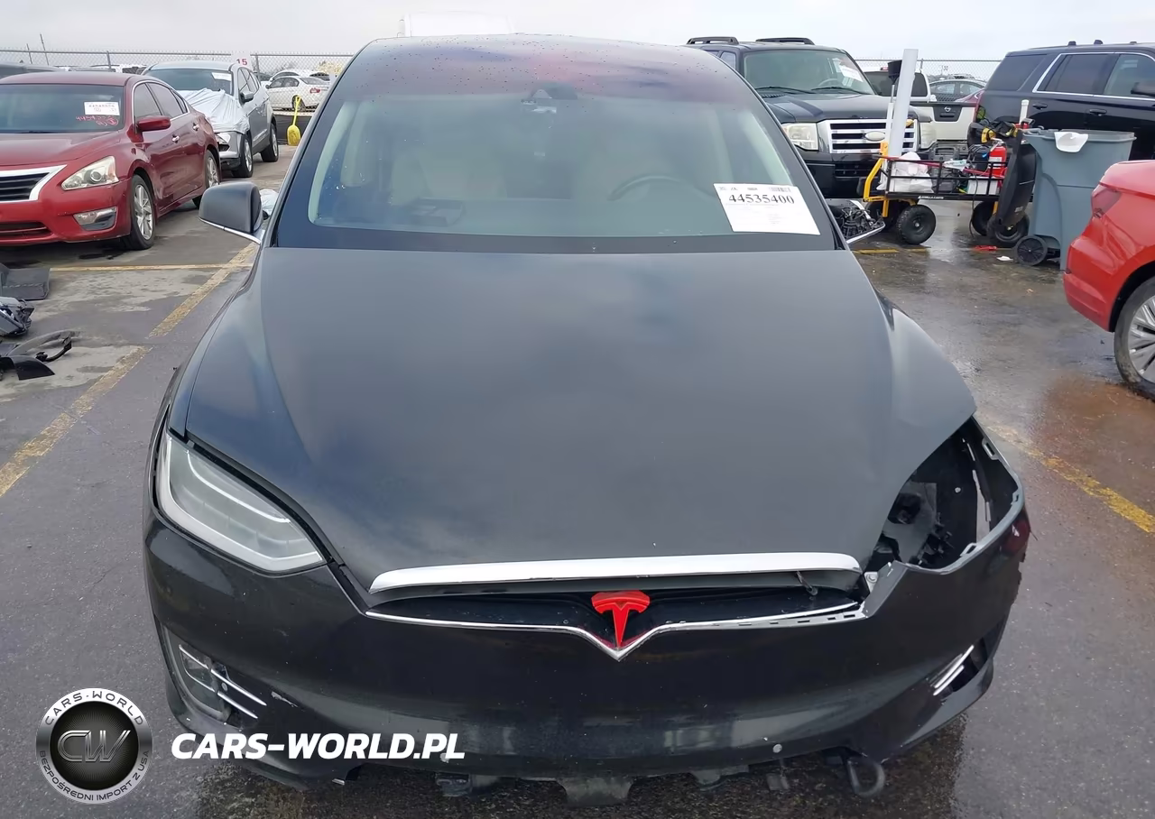 2016 Tesla Model X 75D-P100D-P90D VIN:5YJXCBE40GF000900 - 13