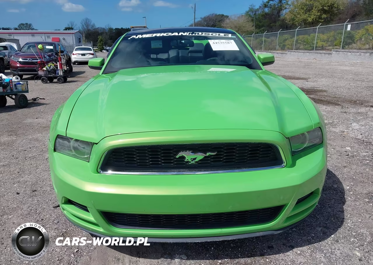 2013 Ford Mustang V6 Premium VIN:1ZVBP8AM9D5228430 - 12
