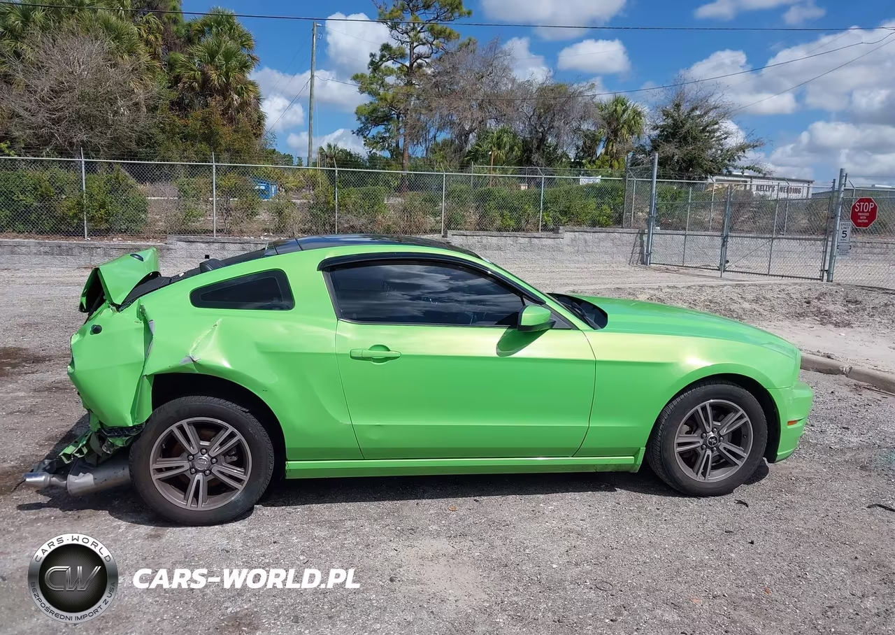 2013 Ford Mustang V6 Premium VIN:1ZVBP8AM9D5228430 - 13