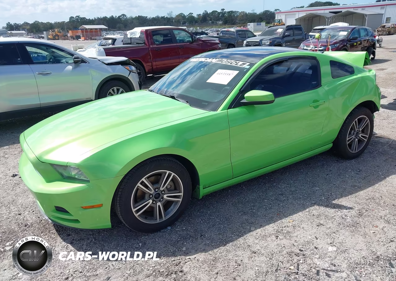 2013 Ford Mustang V6 Premium VIN:1ZVBP8AM9D5228430 - 2