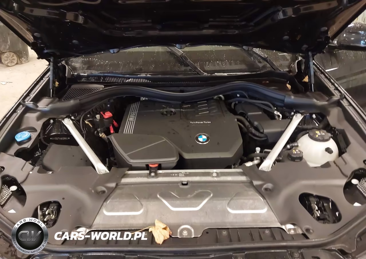 2025 BMW X4 xDrive30I VIN:5UX33DT04S9138855 - 10