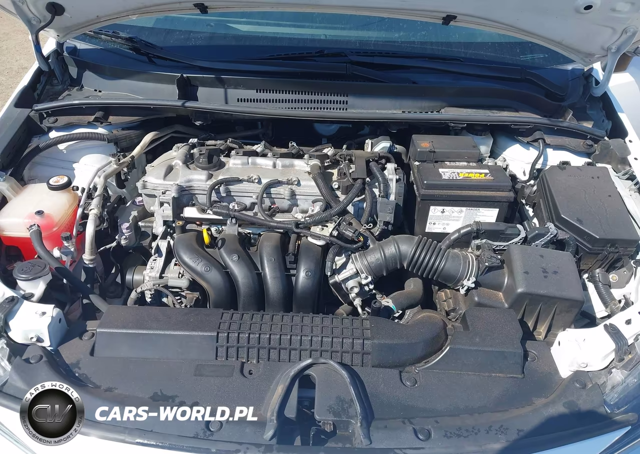2020 Toyota Corolla Le VIN:5YFEPRAE6LP109900 - 10
