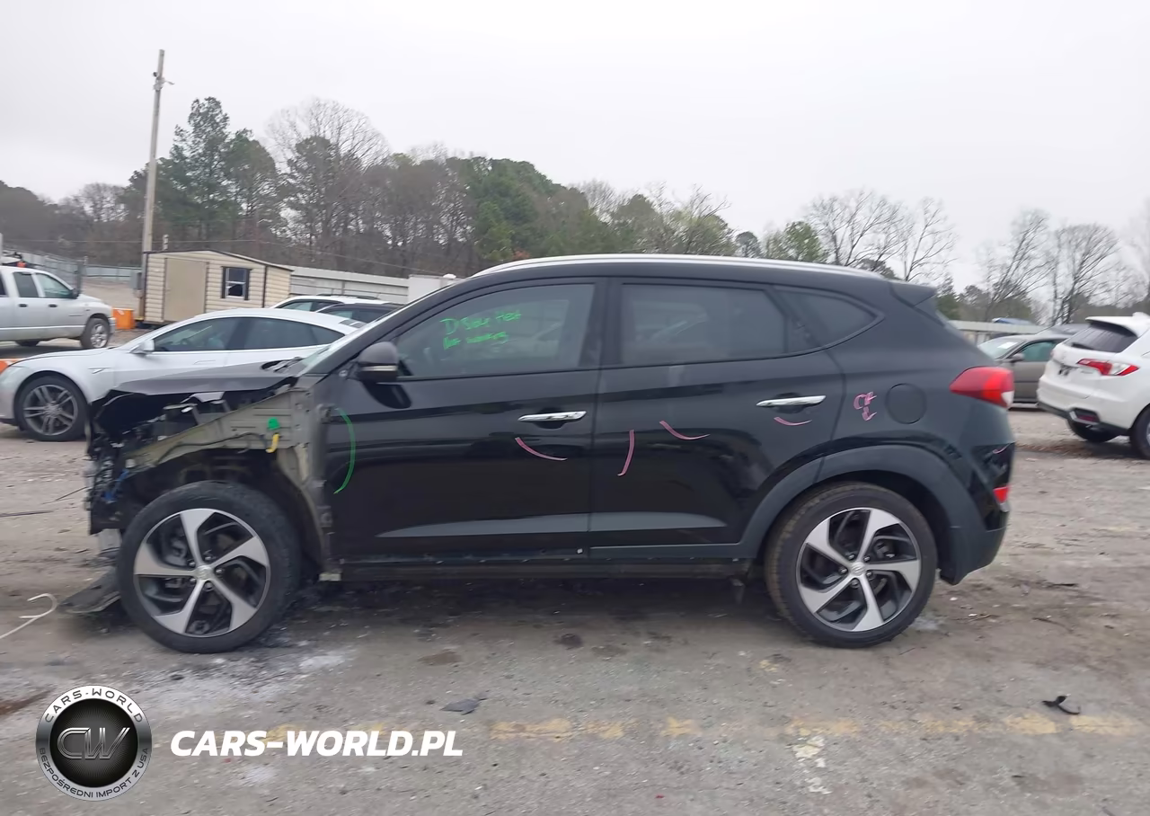 2017 Hyundai Tucson Limited VIN:KM8J33A25HU368333 - 14