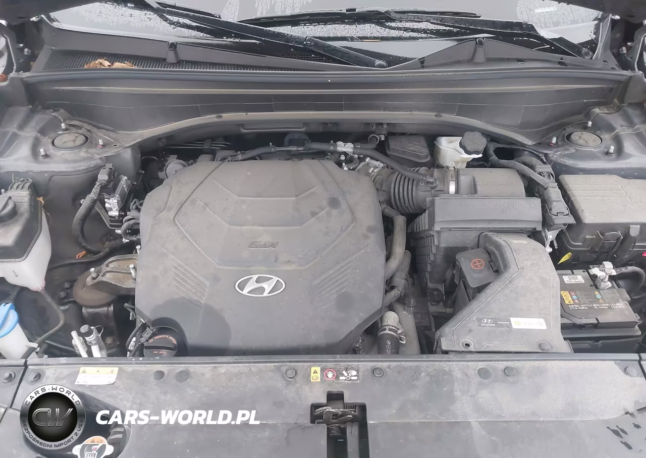 2021 Hyundai Palisade Calligraphy VIN:KM8R7DHEXMU270745 - 10
