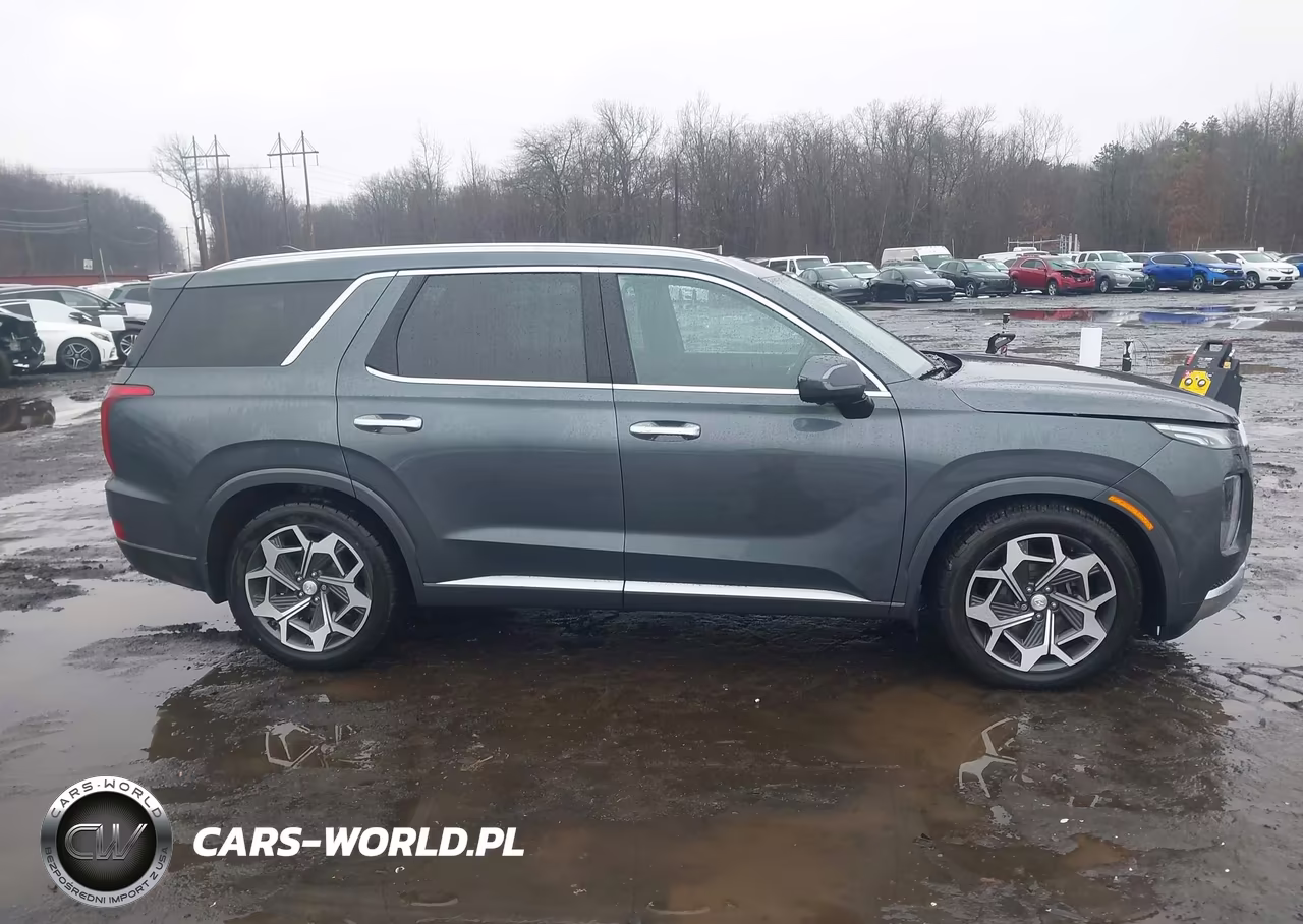 2021 Hyundai Palisade Calligraphy VIN:KM8R7DHEXMU270745 - 13