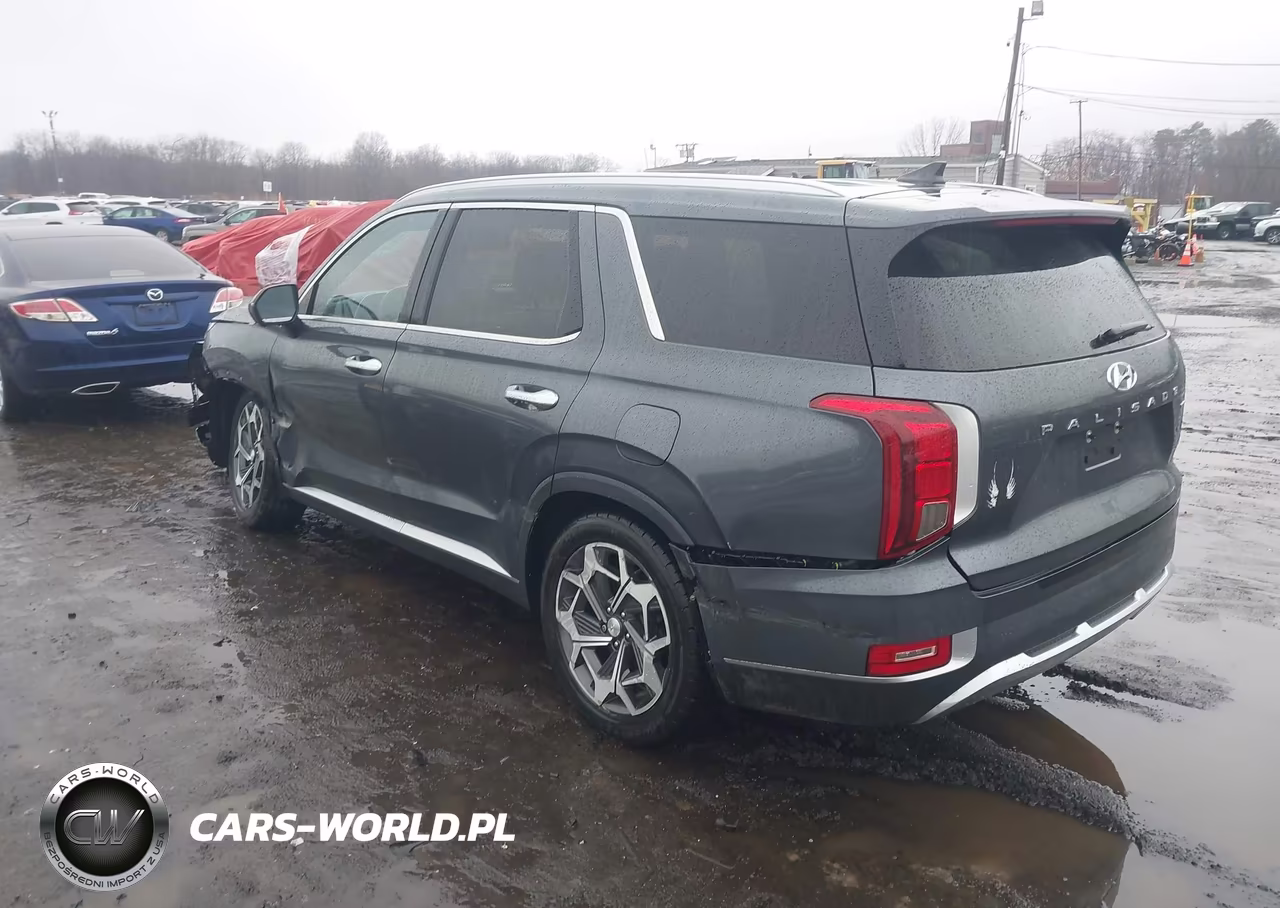 2021 Hyundai Palisade Calligraphy VIN:KM8R7DHEXMU270745 - 17