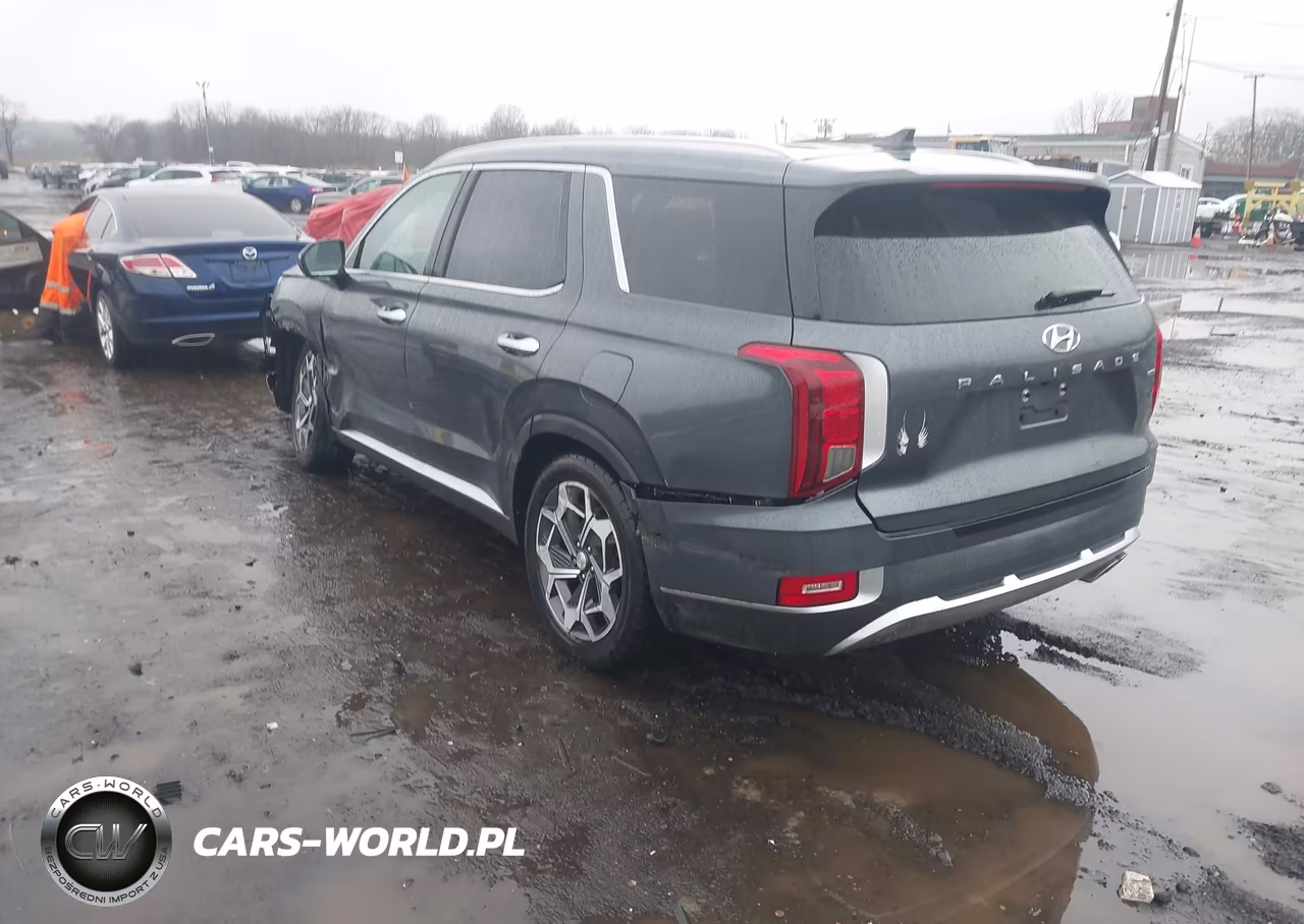 2021 Hyundai Palisade Calligraphy VIN:KM8R7DHEXMU270745 - 3