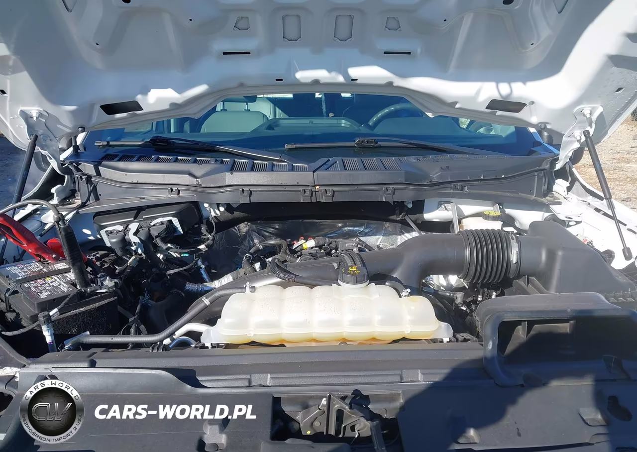 2024 Ford F-150 Xl VIN:1FTEW1KP8RKE47097 - 10