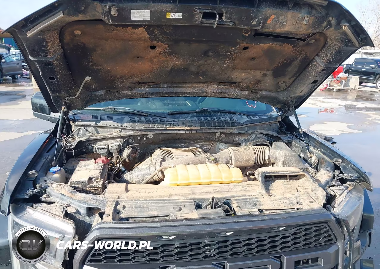 2017 Ford F-150 Raptor VIN:1FTEX1RG7HFA94605 - 10