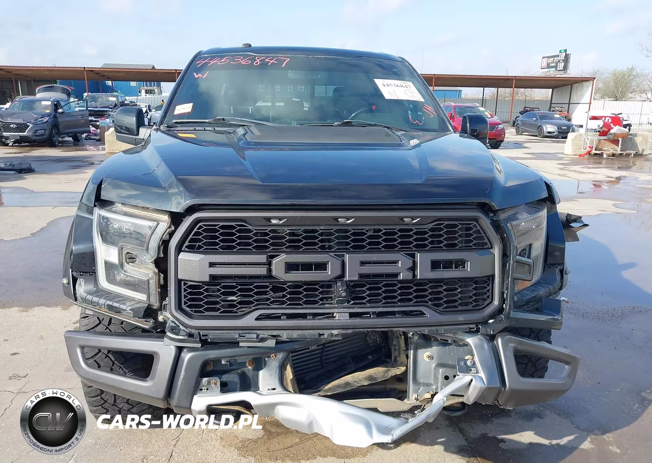 2017 Ford F-150 Raptor VIN:1FTEX1RG7HFA94605 - 11
