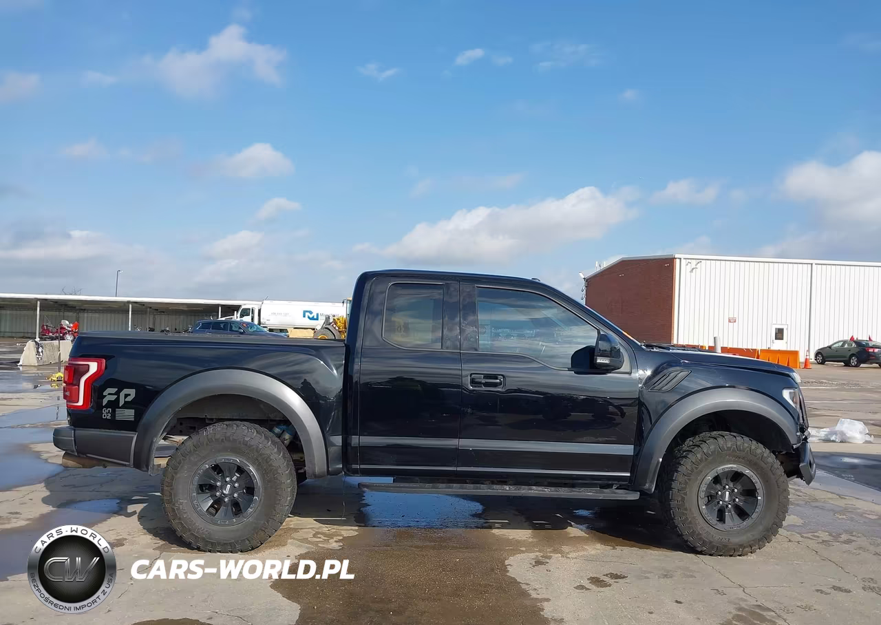 2017 Ford F-150 Raptor VIN:1FTEX1RG7HFA94605 - 12