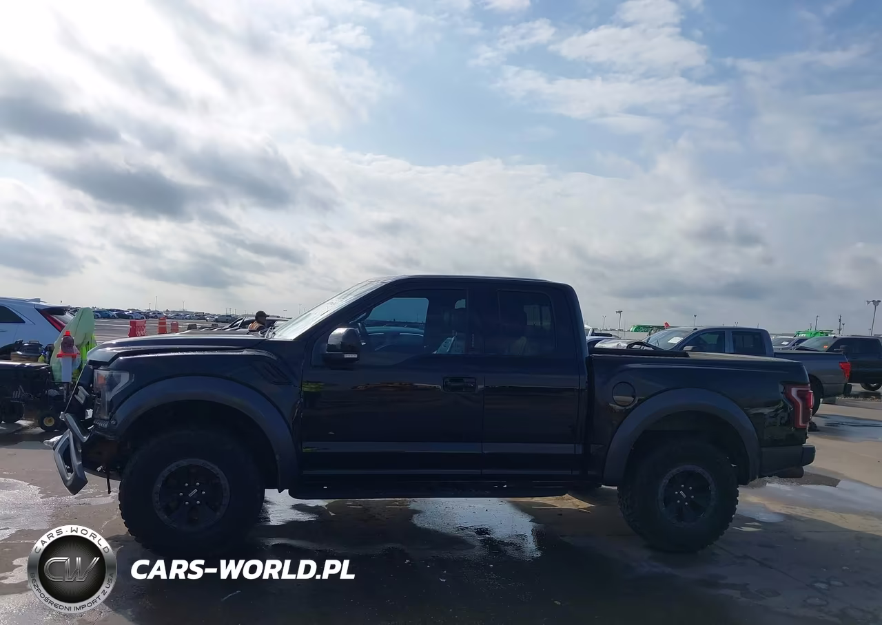2017 Ford F-150 Raptor VIN:1FTEX1RG7HFA94605 - 13