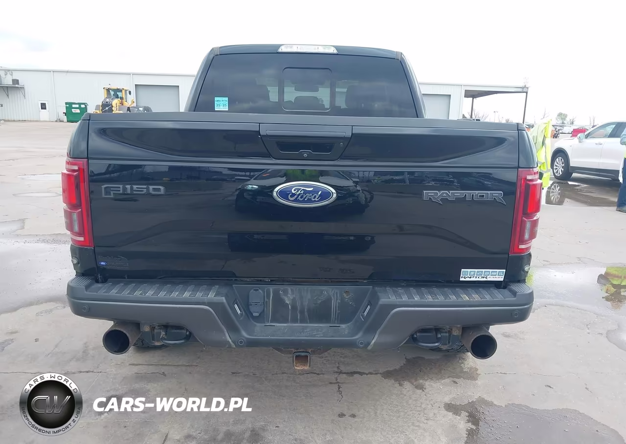 2017 Ford F-150 Raptor VIN:1FTEX1RG7HFA94605 - 15