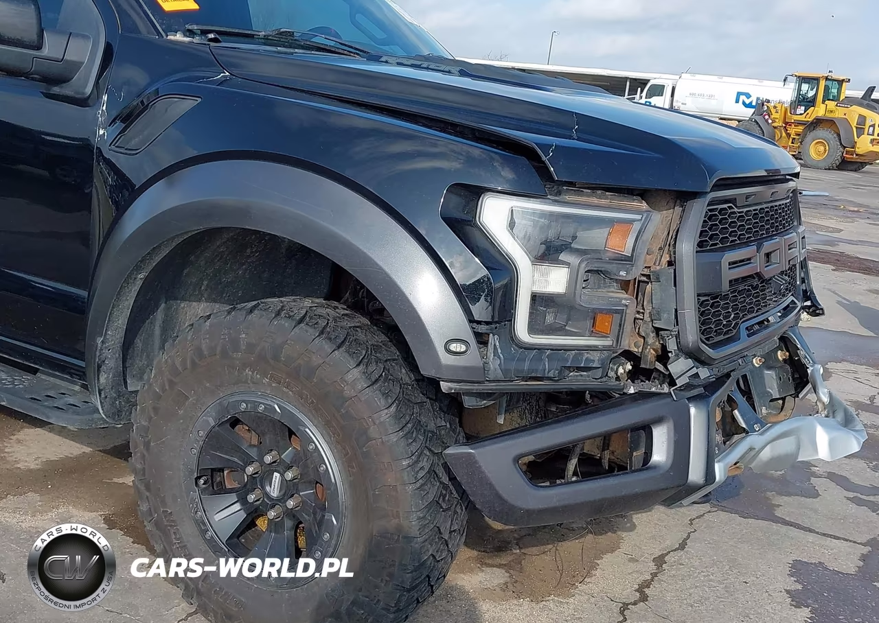 2017 Ford F-150 Raptor VIN:1FTEX1RG7HFA94605 - 17