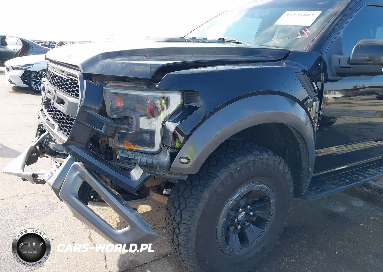 2017 Ford F-150 Raptor VIN:1FTEX1RG7HFA94605 - 18