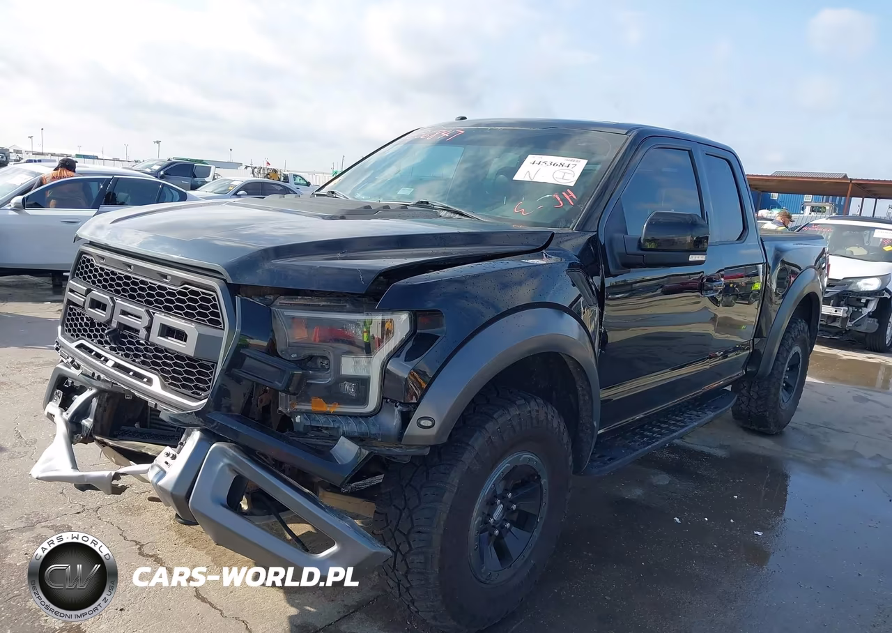 2017 Ford F-150 Raptor VIN:1FTEX1RG7HFA94605 - 2