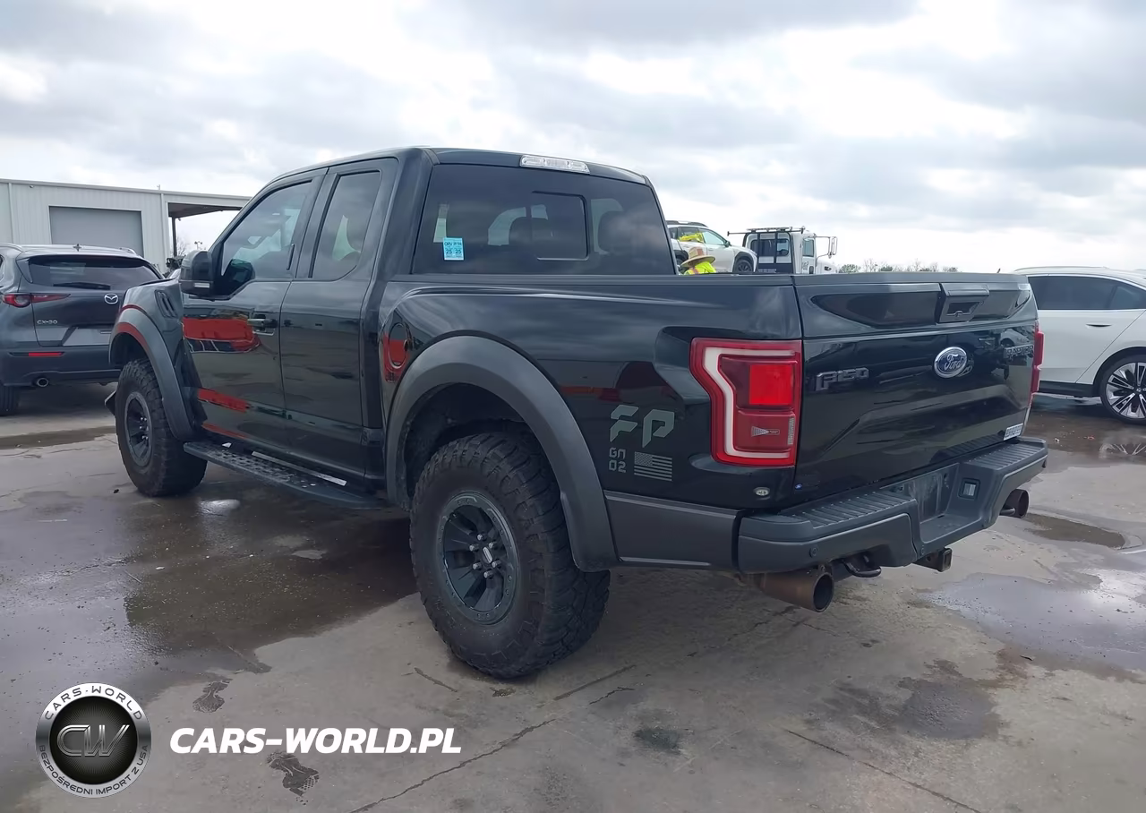 2017 Ford F-150 Raptor VIN:1FTEX1RG7HFA94605 - 3