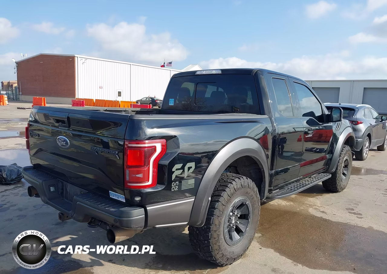 2017 Ford F-150 Raptor VIN:1FTEX1RG7HFA94605 - 4