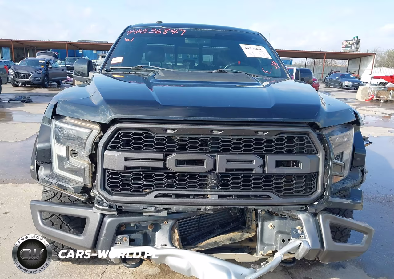 2017 Ford F-150 Raptor VIN:1FTEX1RG7HFA94605 - 6