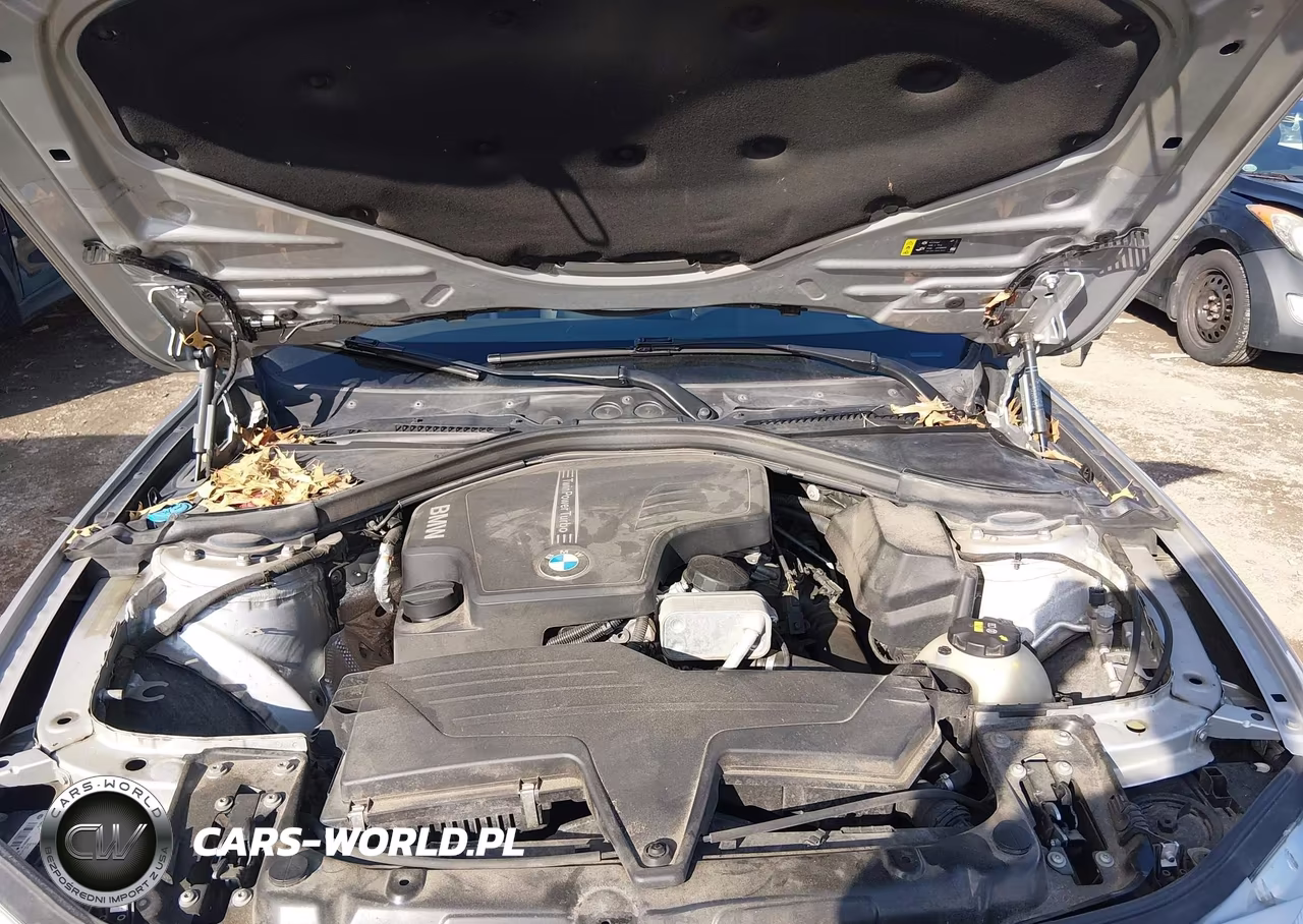 2017 BMW 320I VIN:WBA8A9C39HK864858 - 10