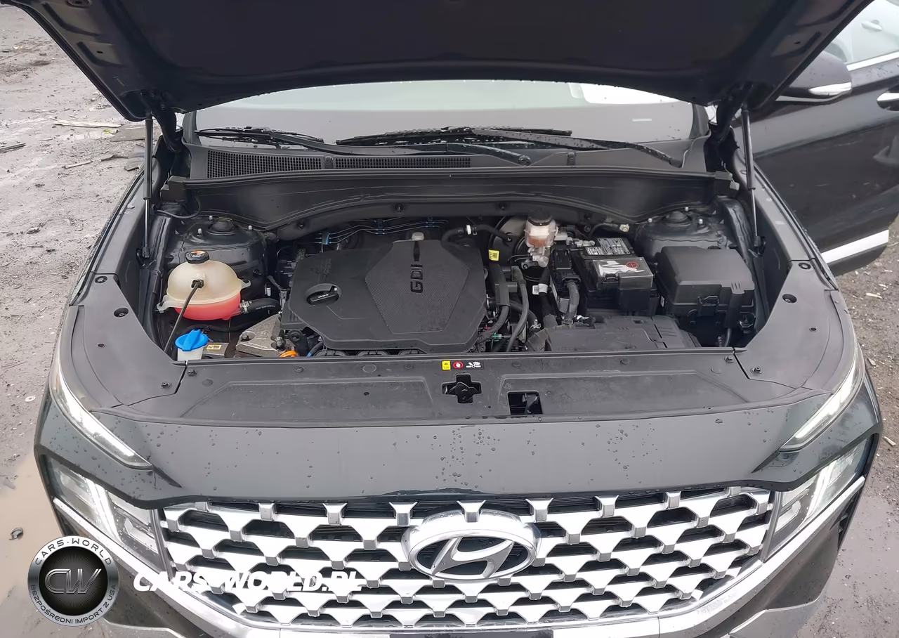 2022 Hyundai Santa Fe Sel VIN:5NMS6DAJ7NH395842 - 10