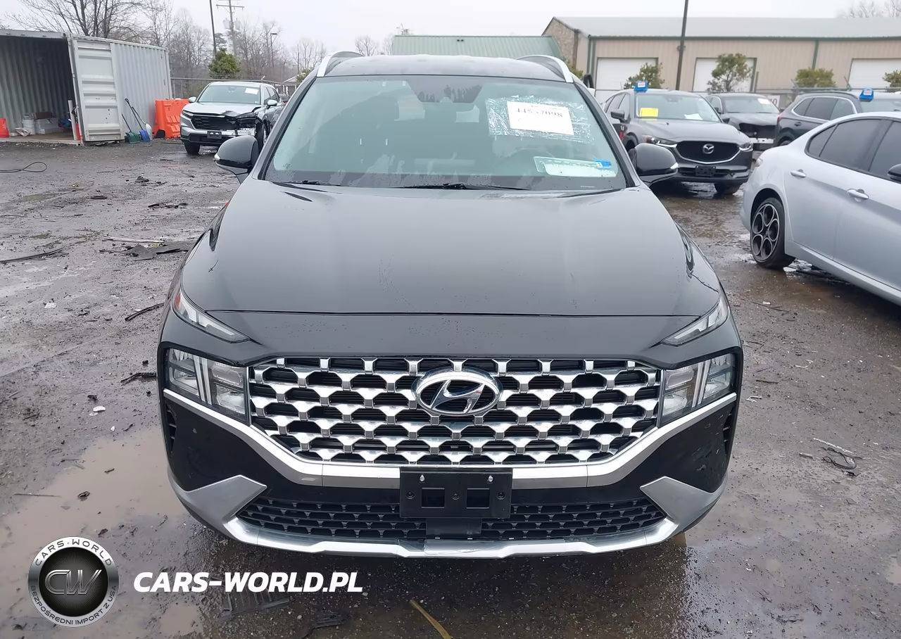 2022 Hyundai Santa Fe Sel VIN:5NMS6DAJ7NH395842 - 12