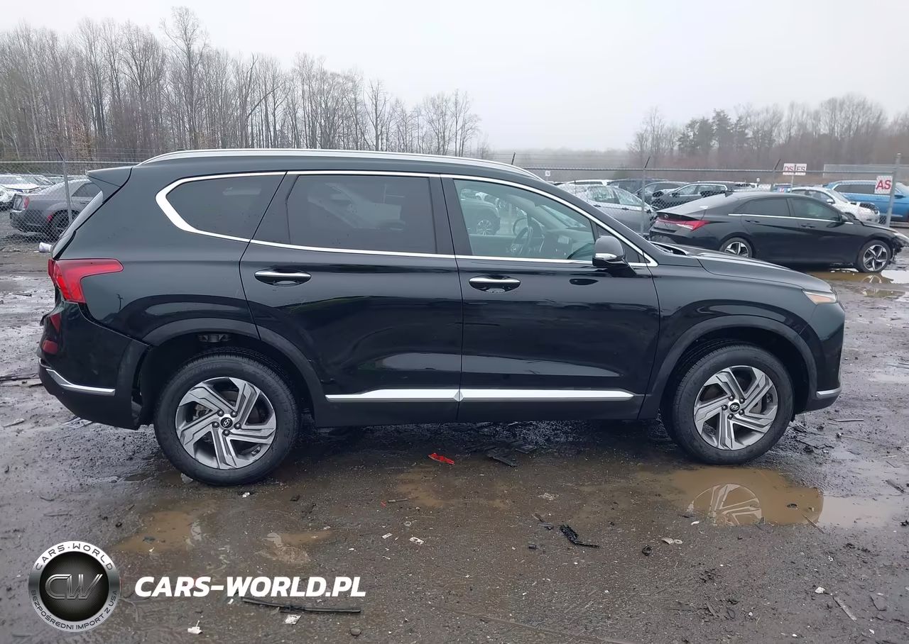 2022 Hyundai Santa Fe Sel VIN:5NMS6DAJ7NH395842 - 13