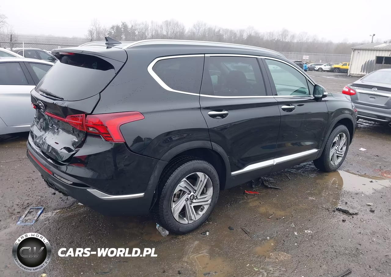 2022 Hyundai Santa Fe Sel VIN:5NMS6DAJ7NH395842 - 4