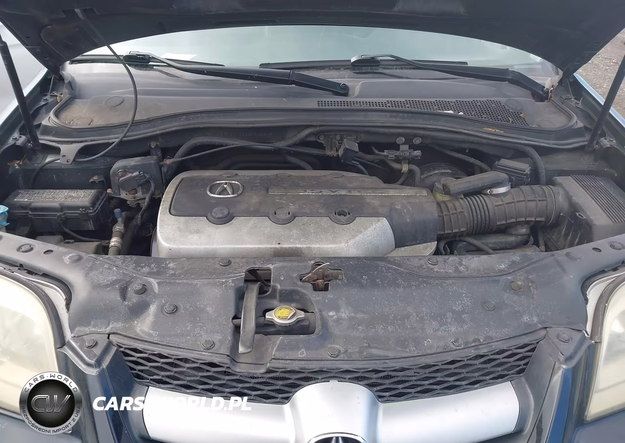 2006 Acura Mdx VIN:2HNYD18226H545909 - 10