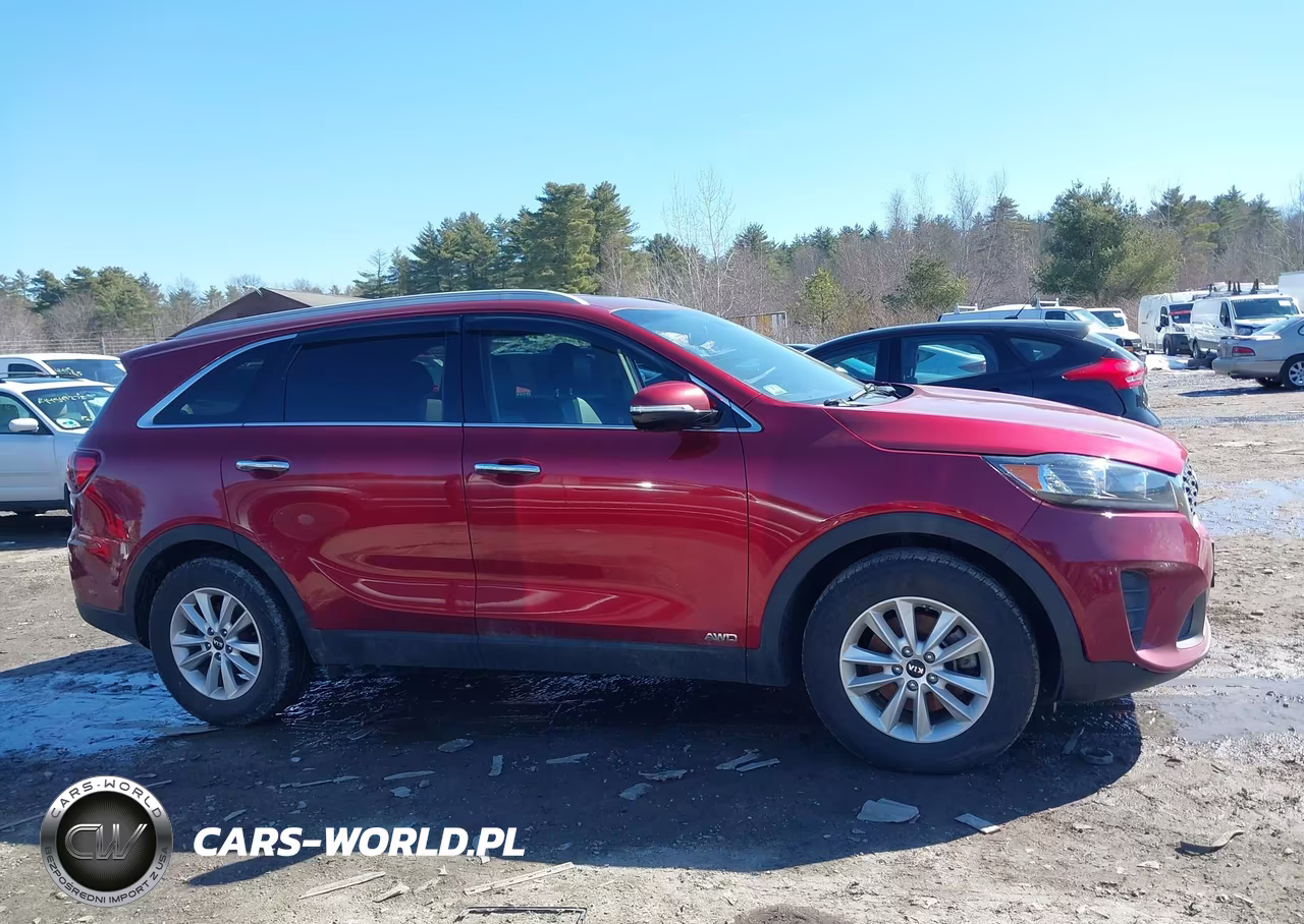 2019 Kia Sorento 2.4L Lx VIN:5XYPGDA32KG565955 - 13
