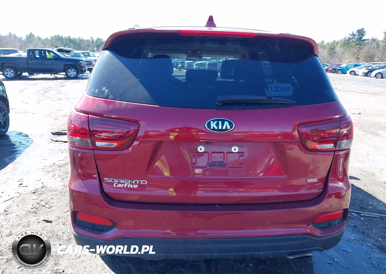 2019 Kia Sorento 2.4L Lx VIN:5XYPGDA32KG565955 - 16