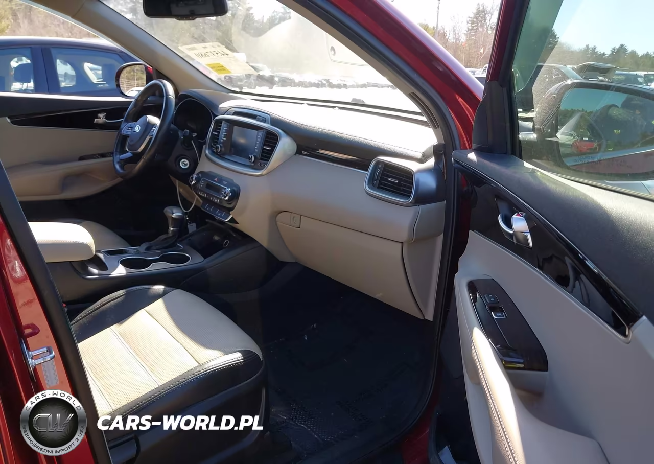 2019 Kia Sorento 2.4L Lx VIN:5XYPGDA32KG565955 - 5